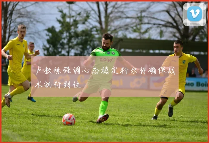 卢教练强调心态稳定科尔将确保战术执行到位