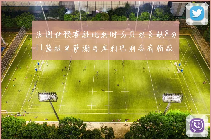 法国世预赛胜比利时戈贝尔贡献8分11篮板里萨谢与库利巴利各有斩获